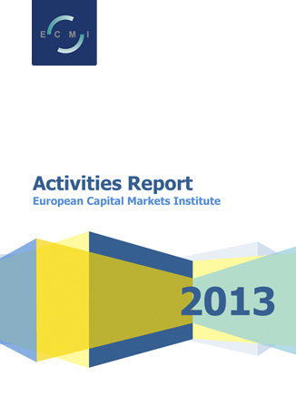 Activities Report 2013